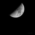 Mond-20190212-26978