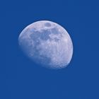 Mond 2022-03-02