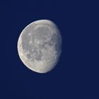 Mond 2023-04-10