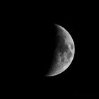 Mond 2023-07-24