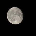 Mond 2023-08-03