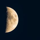 Mond / 21.05.18