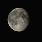 Mond 24.07.2013
