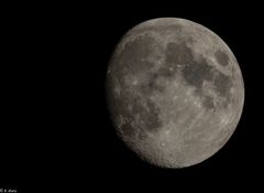 Mond 24.07.2018