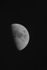 mond 26.2.2015