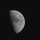 mond 26.2.2015