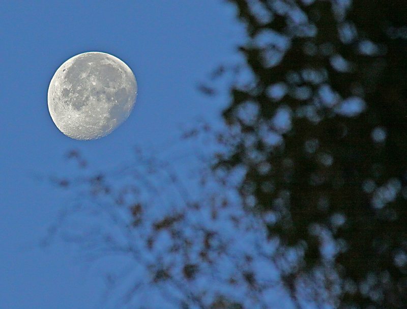 Mond (28102010, 0754h, 1/500, f8)