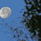 Mond (28102010, 0754h, 1/500, f8)