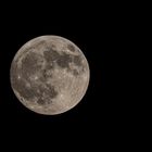 Mond 29 Nov 2020-3577