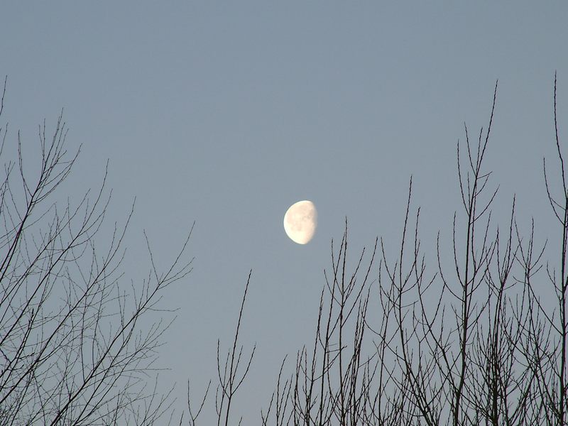 Mond 3