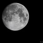 Mond # 3066