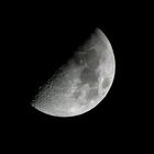 Mond 31.01.2012