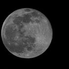 Mond-3622-2