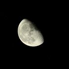 MOND