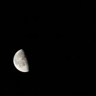 Mond