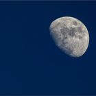 Mond (500 mm) #2