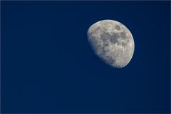 Mond (500 mm) #2