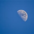 Mond (500 mm)