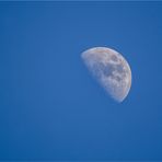 Mond (500 mm)