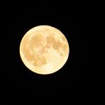Mond