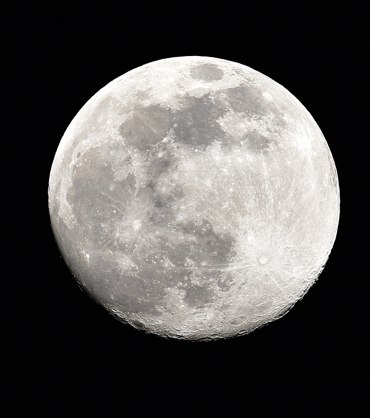 MOND 7 APRIL 2020