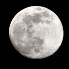 MOND 7 APRIL 2020