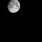 Mond (7)