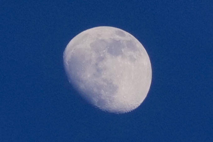 Mond