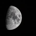 Mond-7384-2