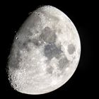 Mond - 76,5 %