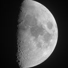 Mond 9213