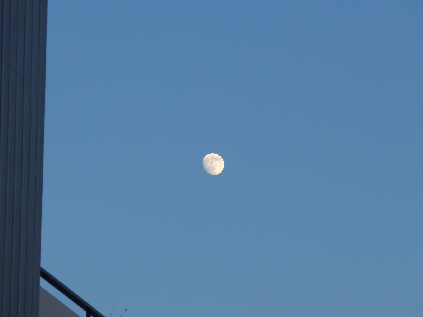 Mond