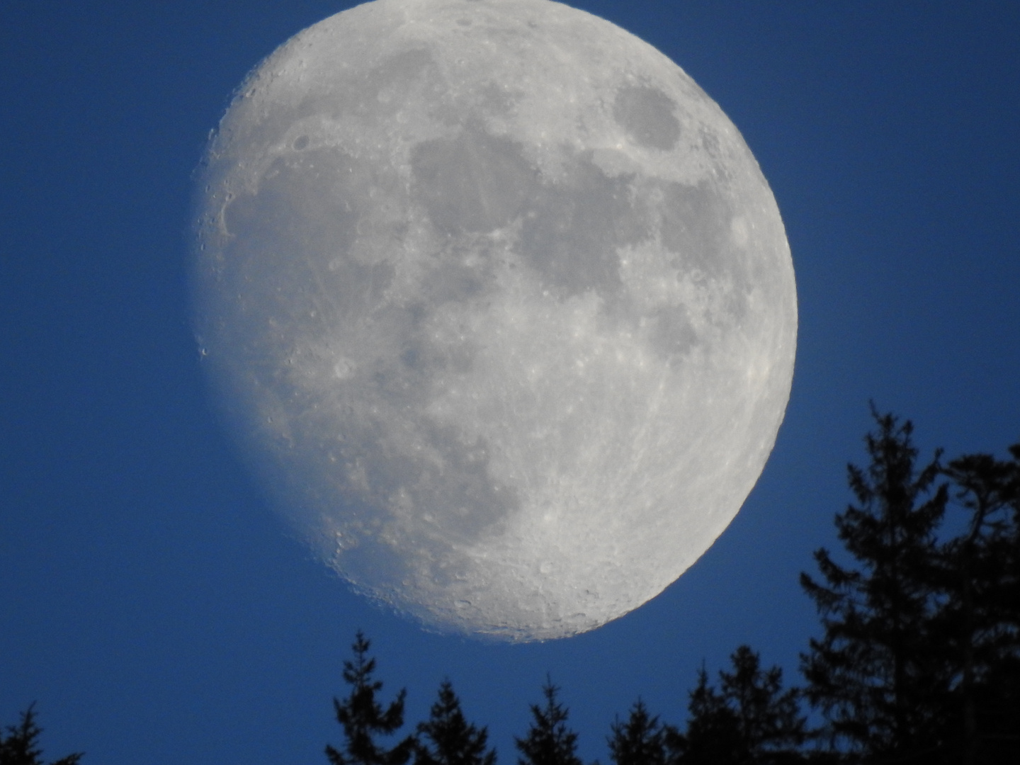 Mond Foto & Bild | archiv - kritik am bild, kritik am bild, natur