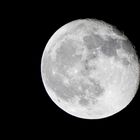 MOND am 02.11.2020