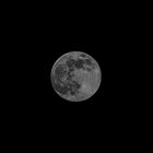 Mond am 07.04.2020 (22:35)