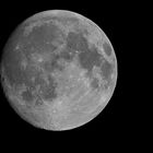 Mond am 13. 09.2009 um 22.00 h
