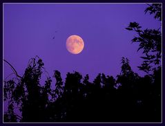 Mond am 25.07.18 um 20:00 Uhr