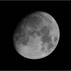 MOND am 25.09.2023