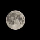 Mond am 26.05.21 um 23:45