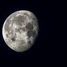 MOND am 28. Juni 2021