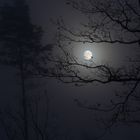 Mond am Abend