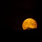 Mond am Abend über Gevelsberg