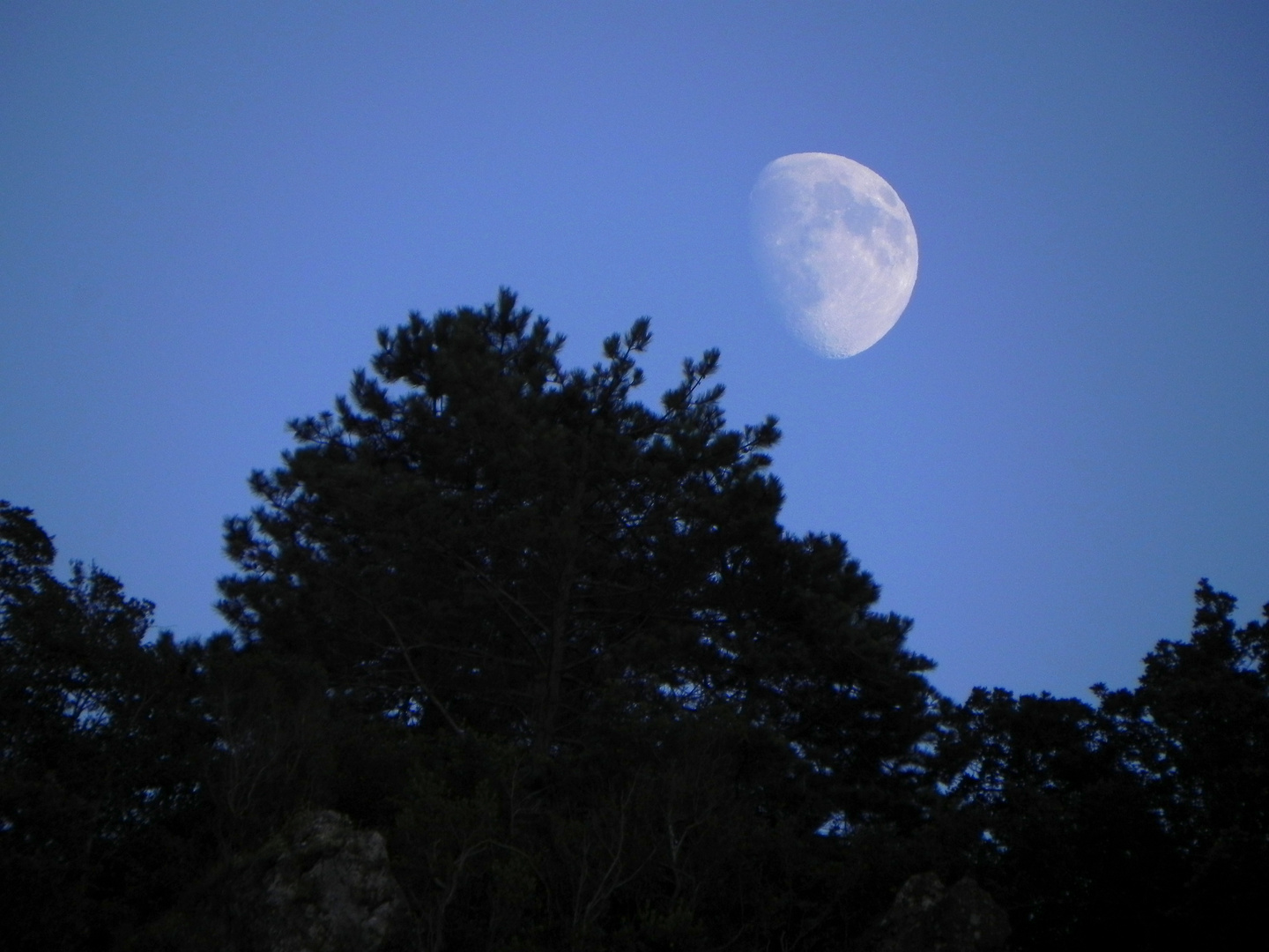 Mond am blauen Himmel