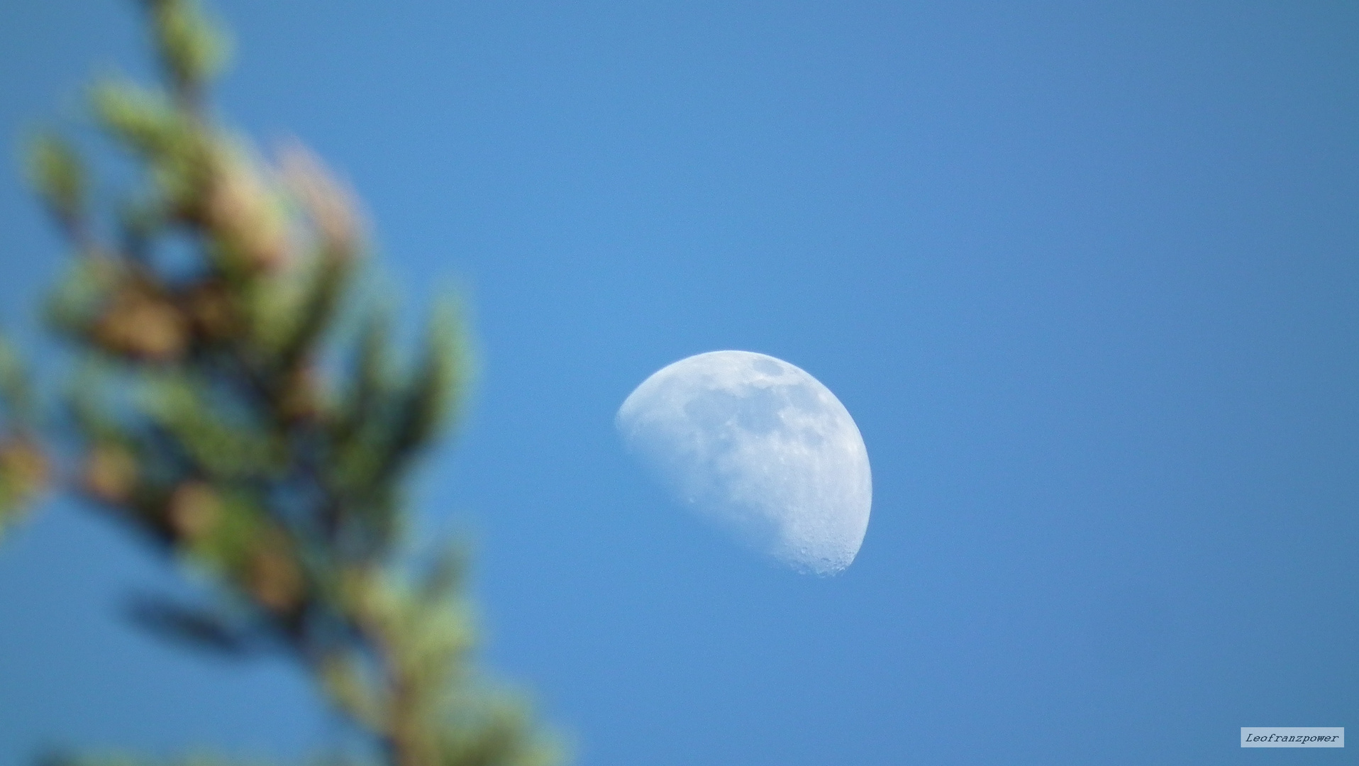 Mond am blauen Himmel