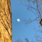 Mond am dicken Turm