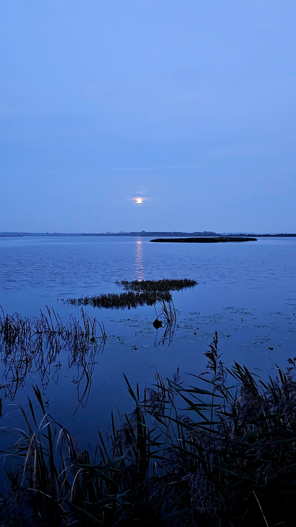 Mond am Filsø 