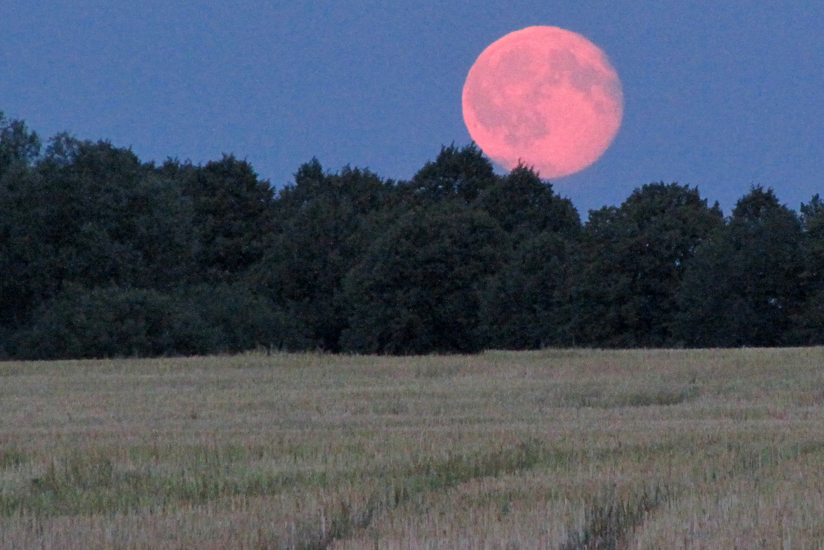 Mond an der Ostsee