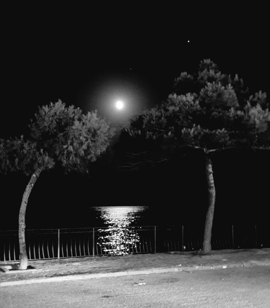 mond and tree