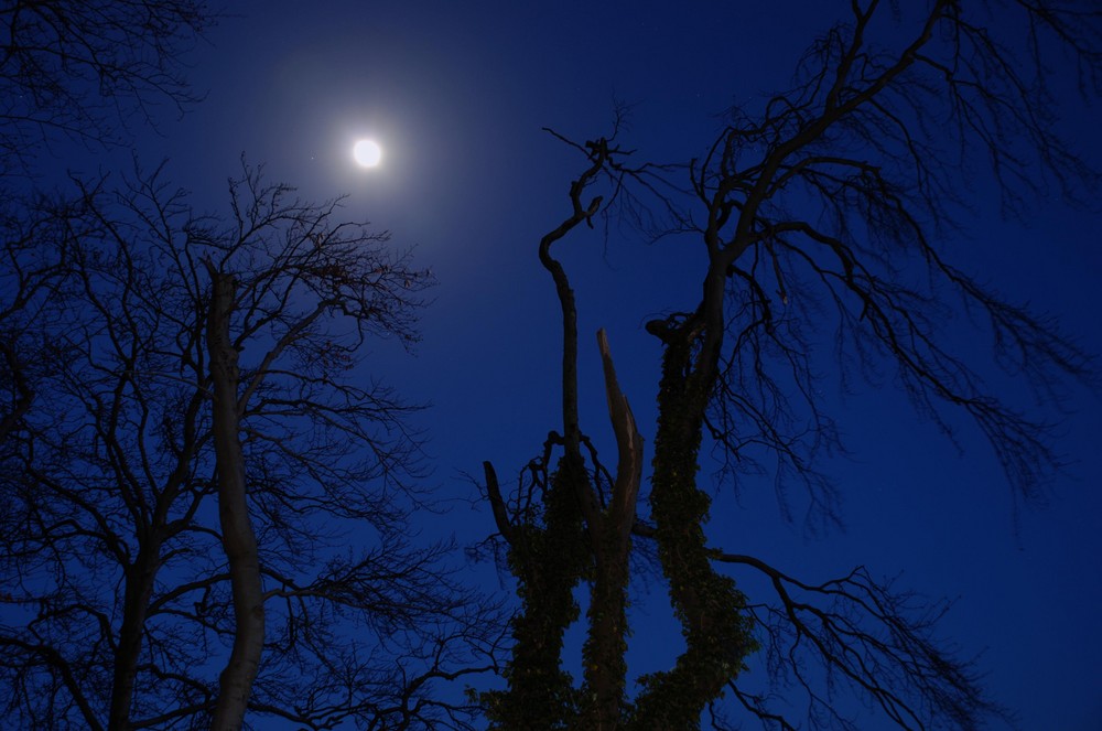 Mond auf Rügen