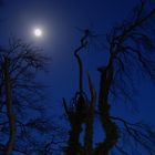 Mond auf Rügen